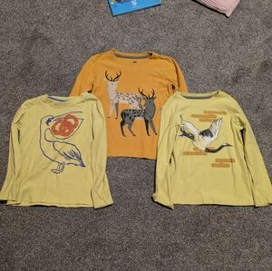 Tea Collection Long Sleeve Shirts